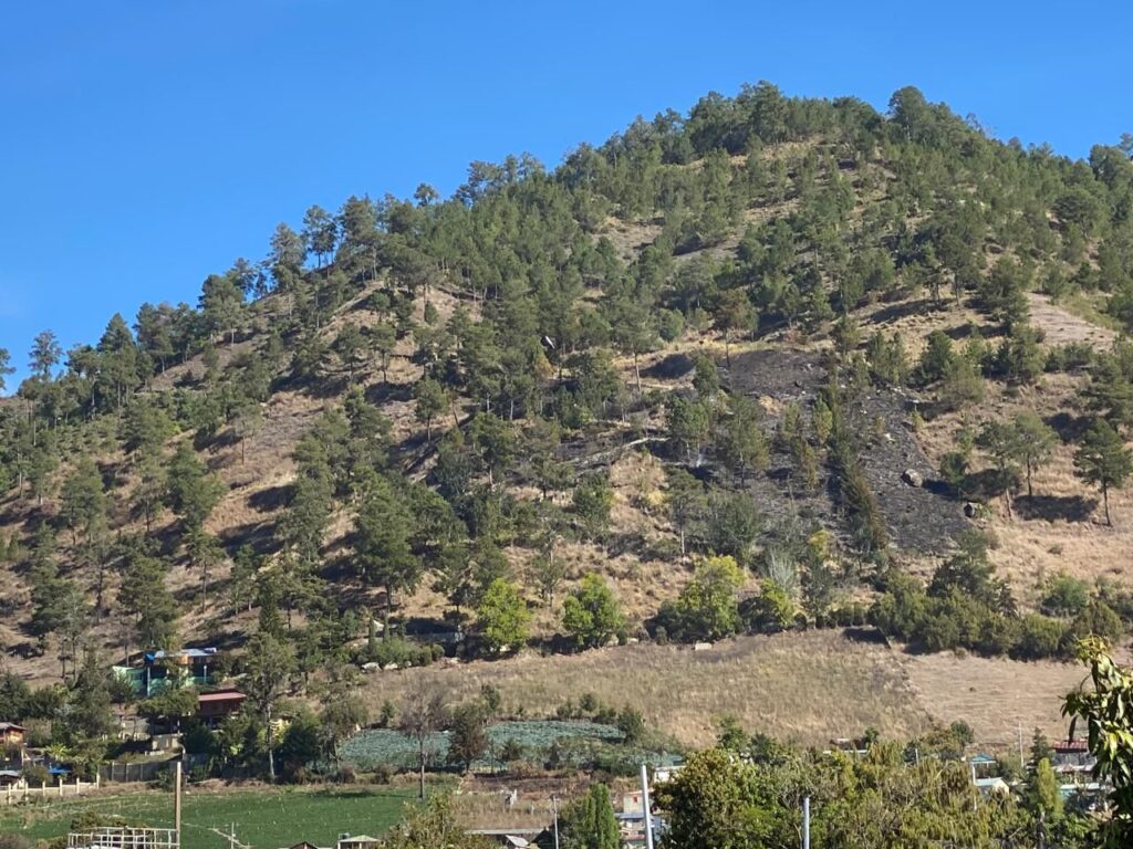 controlan incendio forestal en constanza que afecto 16 tareas de pinos 20260318 185138 D7rT