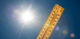 Cambio climático habría provocado el 65 % de las muertes por calor en Europa durante el verano de 2026
