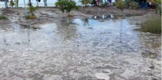 Fuerte oleaje provoca inundaciones en viviendas de La Ermita y comunitarios piden ayuda al Gobierno